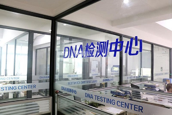 ΫDNA